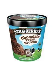 Chocolate Fudge Brownie